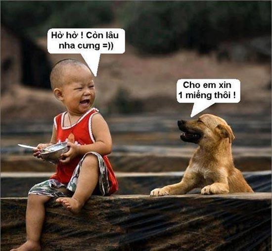 Hình ảnh nghộ nghĩnh đáng yêu ảnh chế tình yêu