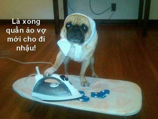 Hình ảnh nghộ nghĩnh đáng yêu ảnh chế tình yêu