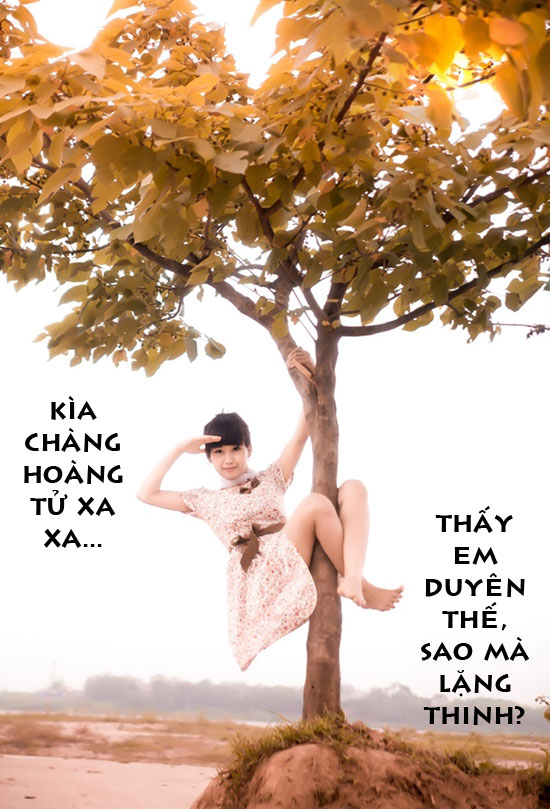 Hình ảnh nghộ nghĩnh đáng yêu ảnh chế tình yêu