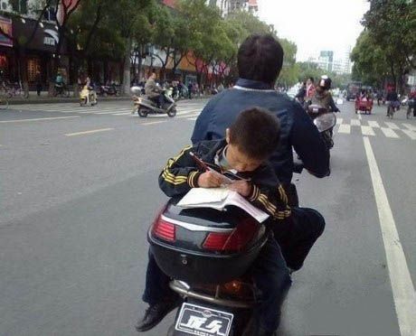 Hình ảnh nghộ nghĩnh đáng yêu ảnh chế tình yêu