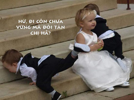 Hình ảnh vui nhộn hài hước ảnh chế haivl