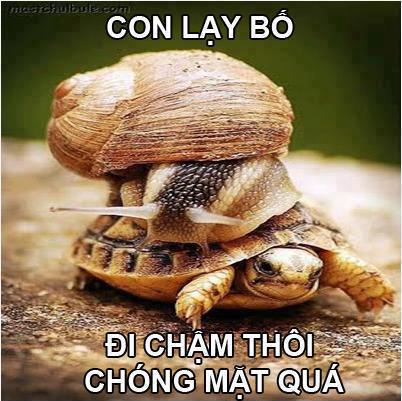 Hình ảnh vui nhộn hài hước ảnh chế haivl