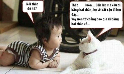Hình ảnh vui nhộn hài hước ảnh chế haivl