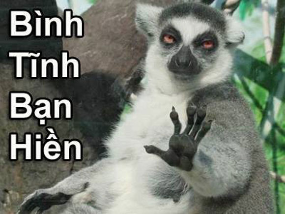 Hình ảnh nghộ nghĩnh đáng yêu ảnh chế tình yêu