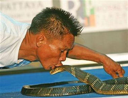Hình ảnh nghộ nghĩnh đáng yêu ảnh chế tình yêu